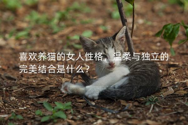 喜歡養貓的女人性格，溫柔與獨立的完美結合是什么？