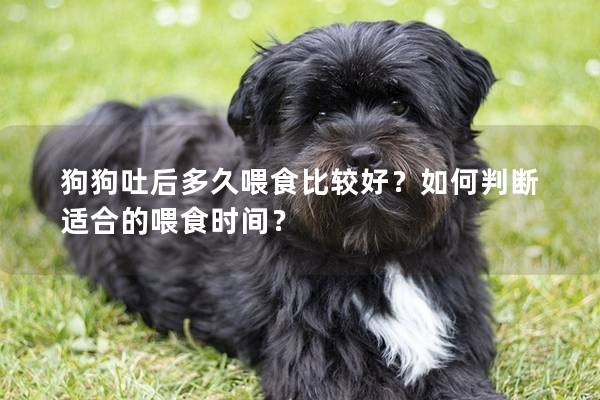 狗狗吐后多久喂食比較好？如何判斷適合的喂食時間？