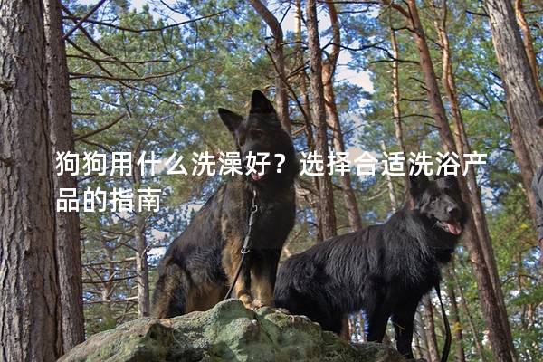 狗狗用什么洗澡好？選擇合適洗浴產品的指南