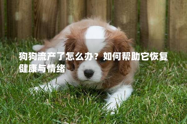 狗狗流產(chǎn)了怎么辦？如何幫助它恢復(fù)健康與情緒