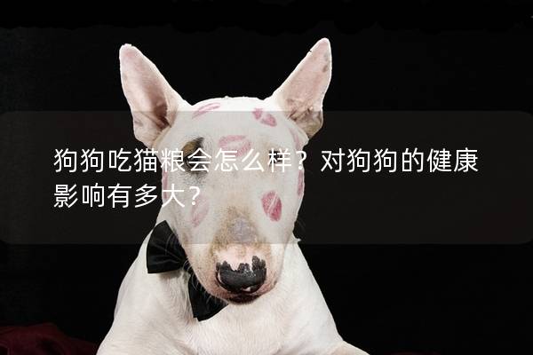 狗狗吃貓糧會怎么樣？對狗狗的健康影響有多大？