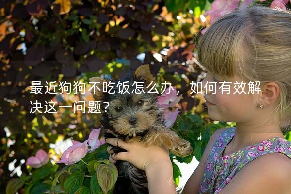 最近狗狗不吃飯怎么辦，如何有效解決這一問題？