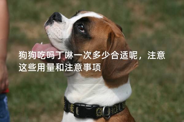 狗狗吃嗎丁啉一次多少合適呢，注意這些用量和注意事項(xiàng)