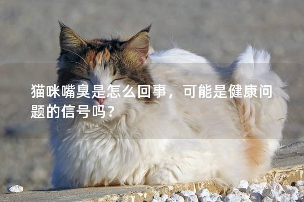 貓咪嘴臭是怎么回事，可能是健康問題的信號嗎？