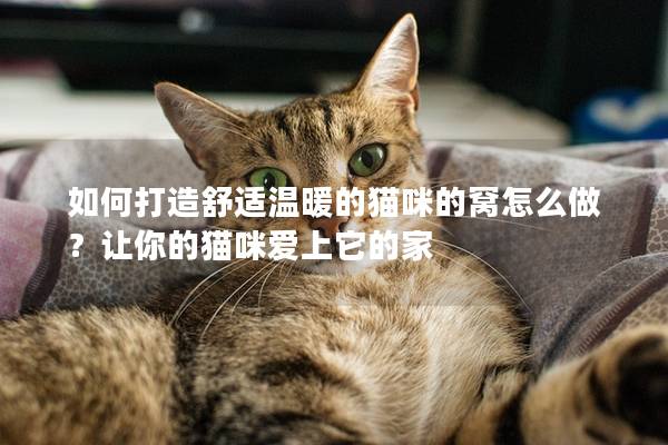如何打造舒適溫暖的貓咪的窩怎么做？讓你的貓咪愛上它的家