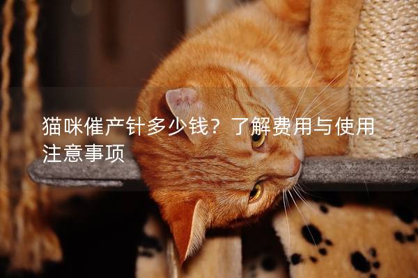 貓咪催產針多少錢？了解費用與使用注意事項