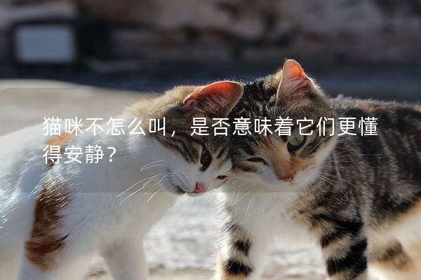 貓咪不怎么叫，是否意味著它們更懂得安靜？