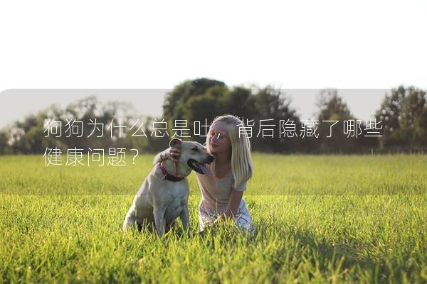 狗狗為什么總是吐，背后隱藏了哪些健康問題？