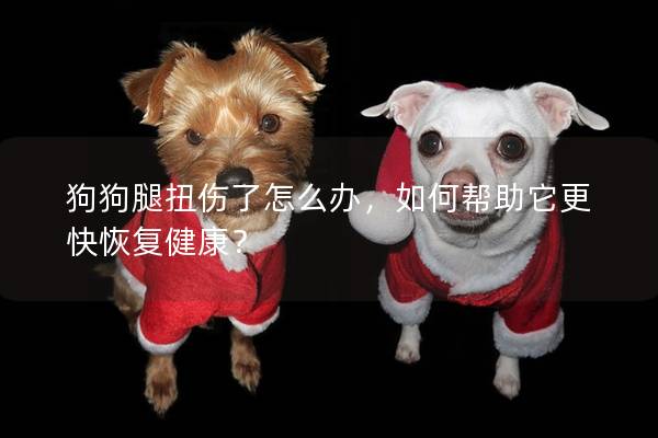 狗狗腿扭傷了怎么辦，如何幫助它更快恢復健康？