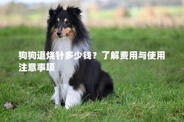 狗狗退燒針多少錢？了解費用與使用注意事項