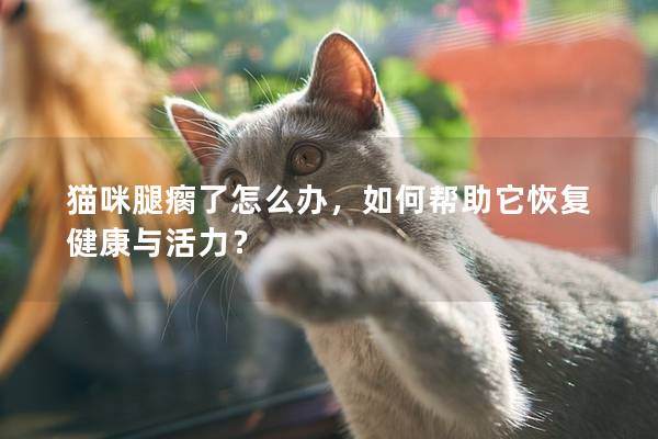 貓咪腿瘸了怎么辦，如何幫助它恢復(fù)健康與活力？