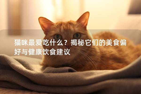 貓咪最愛(ài)吃什么？揭秘它們的美食偏好與健康飲食建議