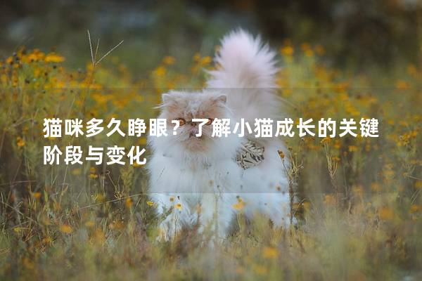 貓咪多久睜眼？了解小貓成長的關鍵階段與變化