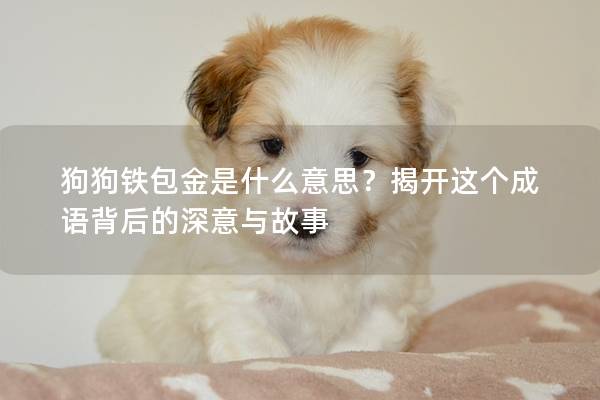 狗狗鐵包金是什么意思？揭開這個成語背后的深意與故事