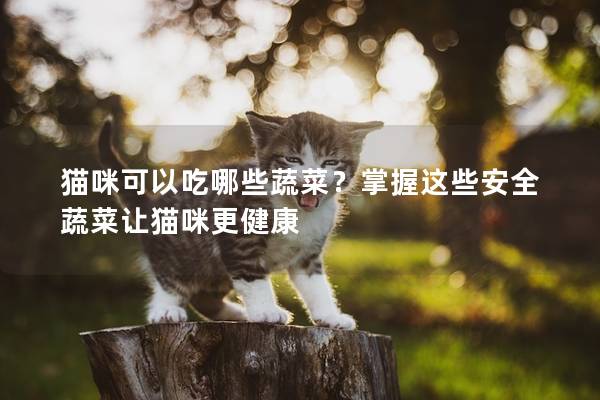 貓咪可以吃哪些蔬菜？掌握這些安全蔬菜讓貓咪更健康