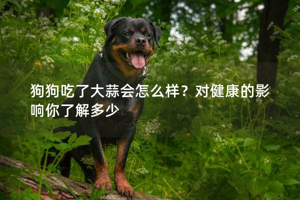 狗狗吃了大蒜會怎么樣?對健康的影響你了解多少 狗狗吃了大蒜會怎么樣?對健康的影響你了解多少