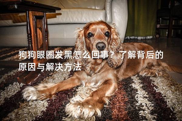 狗狗眼圈發黑怎么回事？了解背后的原因與解決方法