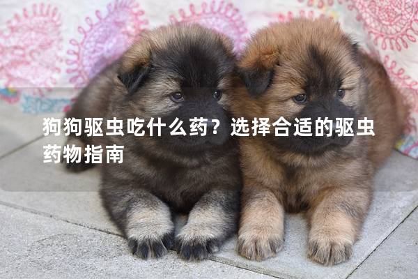 狗狗驅蟲吃什么藥？選擇合適的驅蟲藥物指南