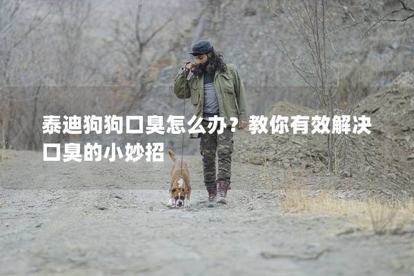 泰迪狗狗口臭怎么辦？教你有效解決口臭的小妙招