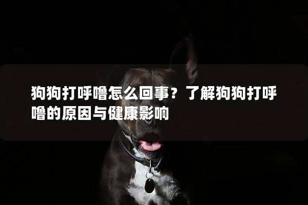 狗狗打呼嚕怎么回事？了解狗狗打呼嚕的原因與健康影響
