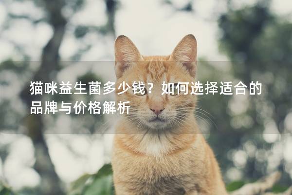 貓咪益生菌多少錢？如何選擇適合的品牌與價格解析