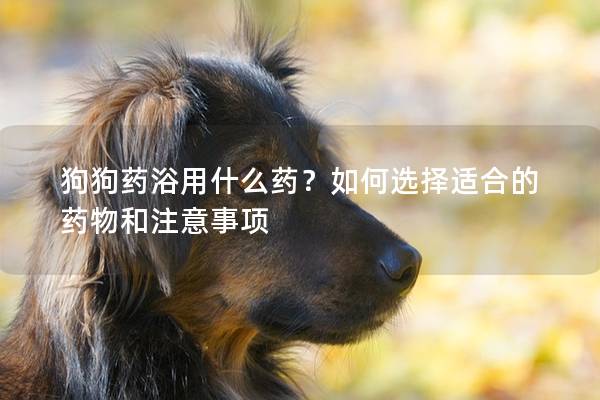 狗狗藥浴用什么藥？如何選擇適合的藥物和注意事項
