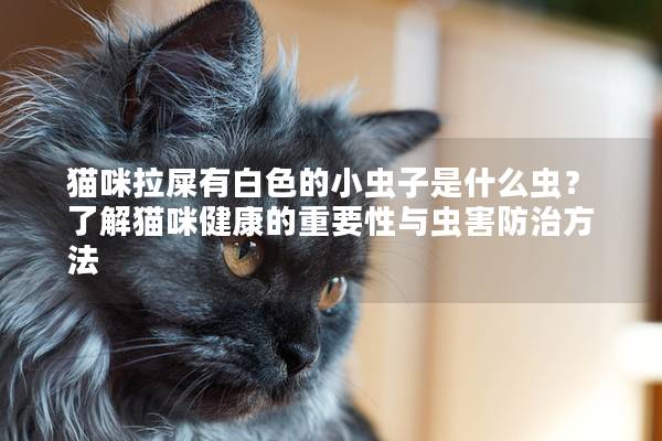 貓咪拉屎有白色的小蟲子是什么蟲？了解貓咪健康的重要性與蟲害防治方法