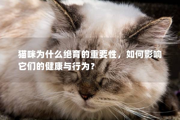 貓咪為什么絕育的重要性，如何影響它們的健康與行為？