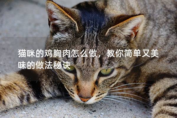 貓咪的雞胸肉怎么做，教你簡(jiǎn)單又美味的做法秘訣