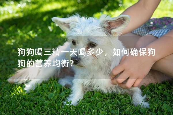 狗狗喝三精一天喝多少，如何確保狗狗的營養(yǎng)均衡？