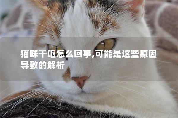 貓咪干嘔怎么回事,可能是這些原因?qū)е碌慕馕?></em><p>貓咪干嘔怎么回事,可能是這些原因?qū)е碌慕馕?/p><span>2024-11-19</span></a></li><li><a title=