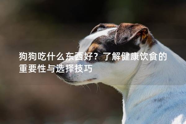 狗狗吃什么東西好？了解健康飲食的重要性與選擇技巧