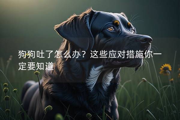狗狗吐了怎么辦?這些應對措施你一定要知道 狗狗吐了怎么辦?這些應對措施你一定要知道