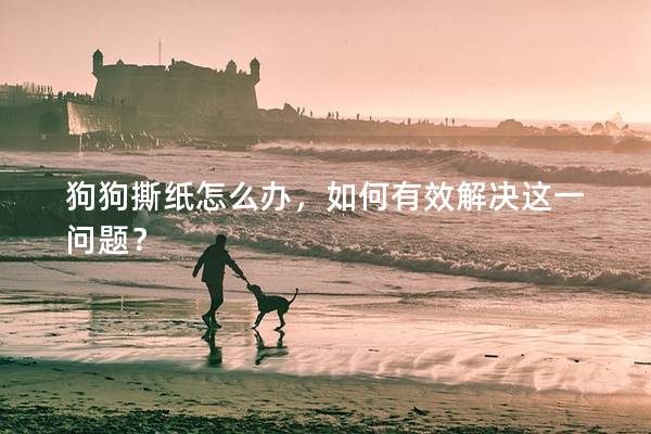 狗狗撕紙?jiān)趺崔k，如何有效解決這一問題？