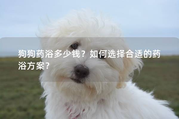 狗狗藥浴多少錢？如何選擇合適的藥浴方案？