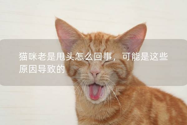 貓咪老是甩頭怎么回事，可能是這些原因?qū)е碌?></em><p>貓咪老是甩頭怎么回事，可能是這些原因?qū)е碌?/p><span>2024-12-12</span></a></li><li><a title=
