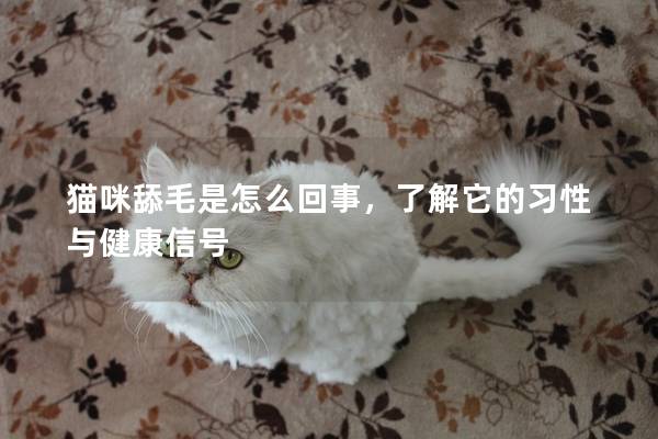 貓咪舔毛是怎么回事，了解它的習(xí)性與健康信號(hào)