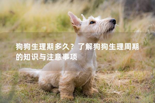 狗狗生理期多久？了解狗狗生理周期的知識與注意事項