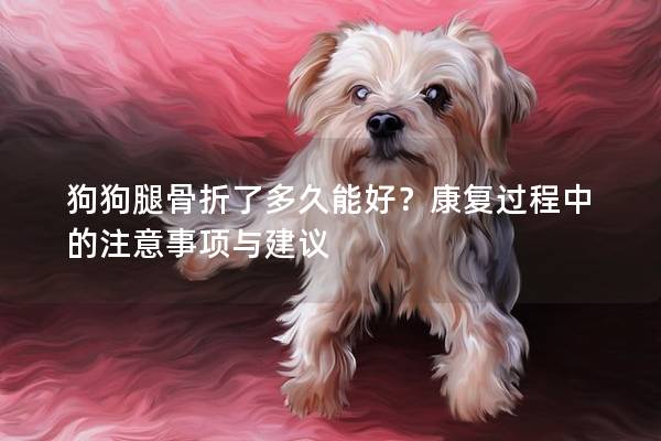 狗狗腿骨折了多久能好？康復過程中的注意事項與建議