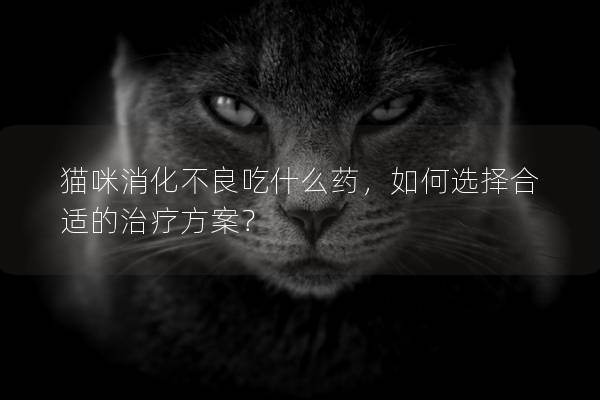 貓咪消化不良吃什么藥，如何選擇合適的治療方案？