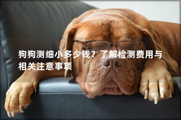 狗狗測(cè)細(xì)小多少錢？了解檢測(cè)費(fèi)用與相關(guān)注意事項(xiàng)
