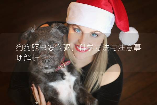 狗狗驅蟲怎么驅,科學方法與注意事項解析 狗狗驅蟲怎么驅,科學方法與注意事項解析
