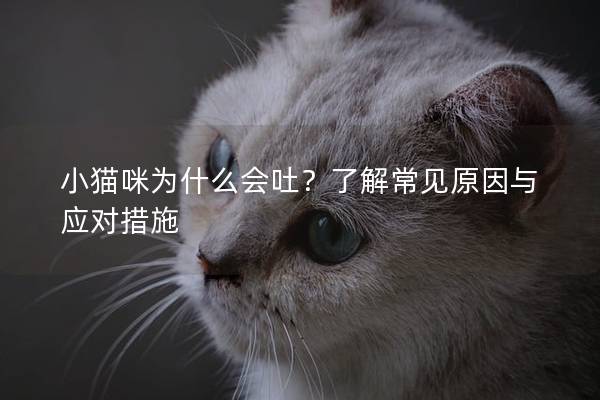 小貓咪為什么會吐？了解常見原因與應對措施