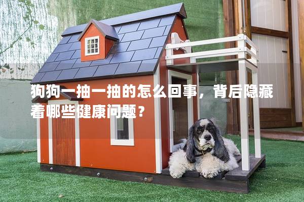 狗狗一抽一抽的怎么回事，背后隱藏著哪些健康問(wèn)題？
