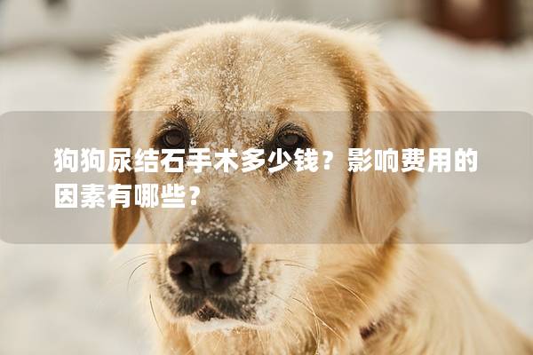 狗狗尿結(jié)石手術(shù)多少錢？影響費(fèi)用的因素有哪些？