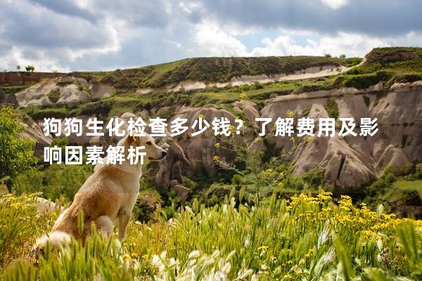 狗狗生化檢查多少錢？了解費用及影響因素解析