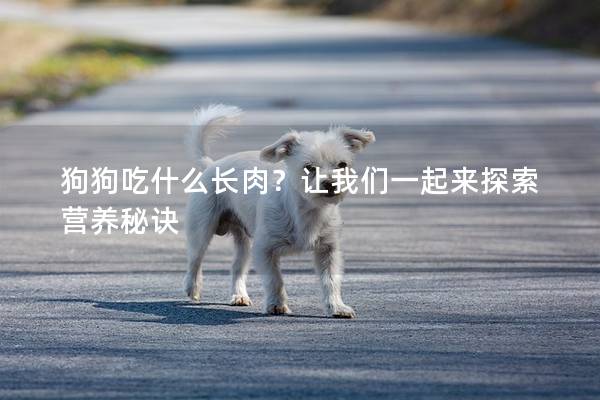 狗狗吃什么長肉?讓我們一起來探索營養秘訣 狗狗吃什么長肉?讓我們一起來探索營養秘訣