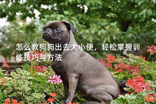 怎么教狗狗出去大小便，輕松掌握訓(xùn)練技巧與方法