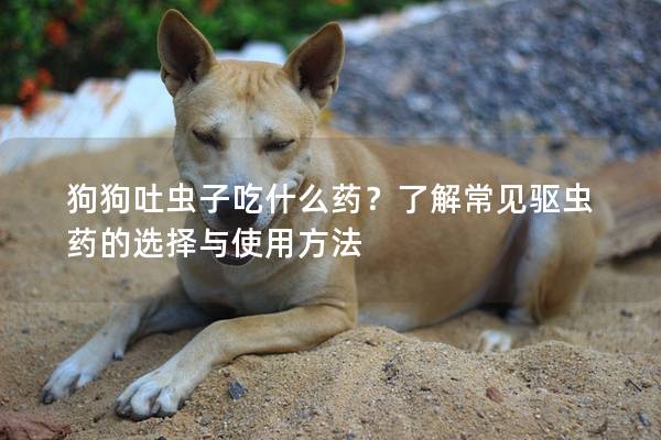 狗狗吐蟲子吃什么藥？了解常見驅(qū)蟲藥的選擇與使用方法