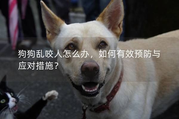 狗狗亂咬人怎么辦，如何有效預防與應對措施？